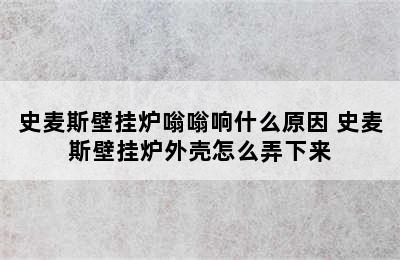 史麦斯壁挂炉嗡嗡响什么原因 史麦斯壁挂炉外壳怎么弄下来